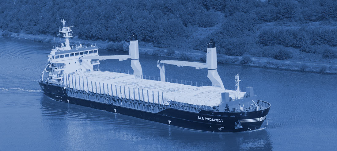 Sea Prospect - Multipurpose cargo vessels for all weathers - Sea Shipping Holding Ltd